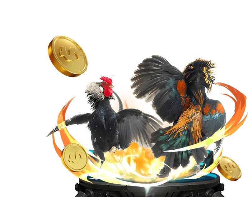Ưu Đãi Chào Mừng Thành Viên Mới Bigboss